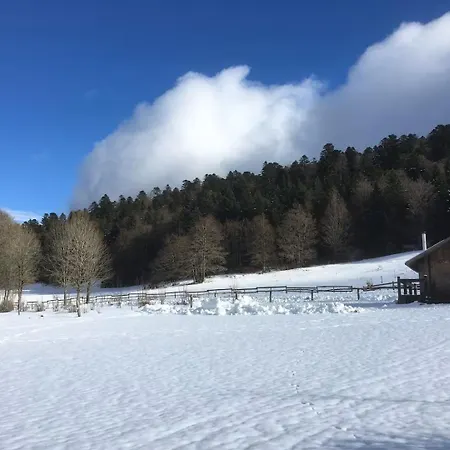 Camping Vercors Intense Vassieux-en-Vercors